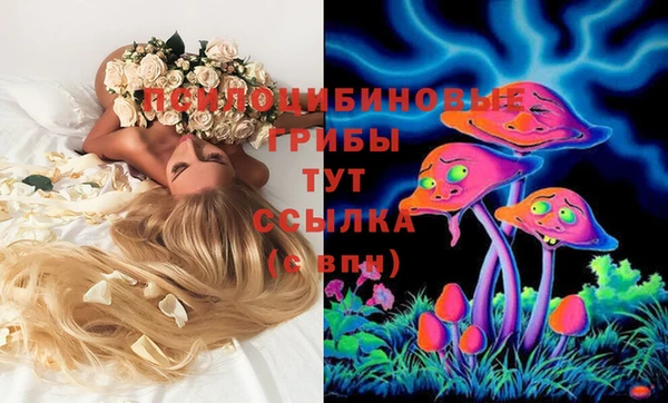 стафф Алзамай