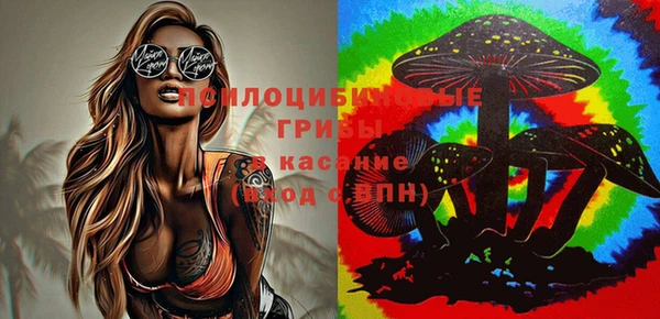 гидропоника Алексин